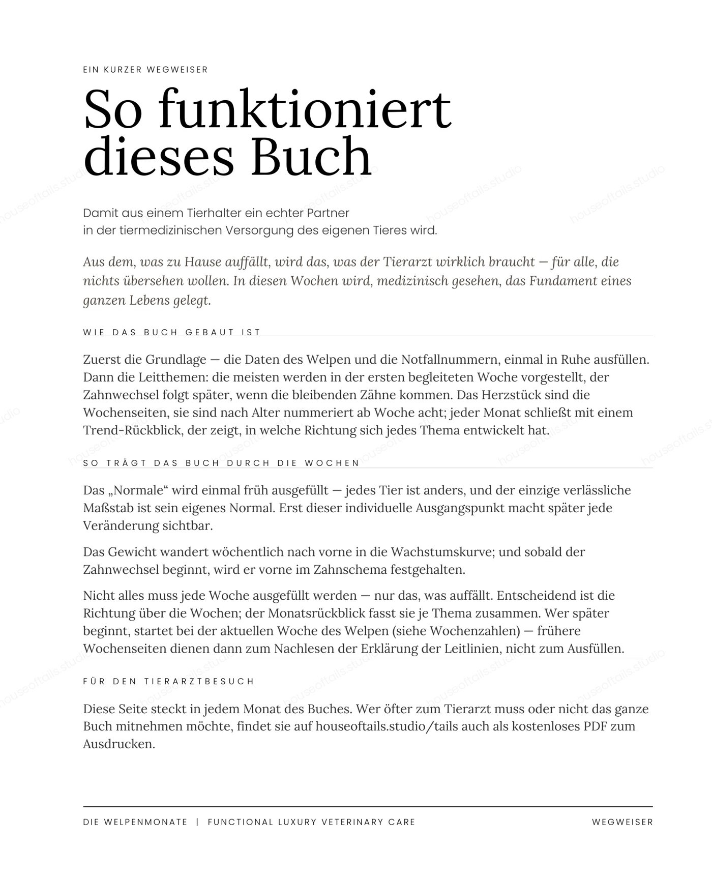 The Curious Puppy — Wegweiserseite „So funktioniert dieses Buch“ mit Aufbau des Welpen-Journals