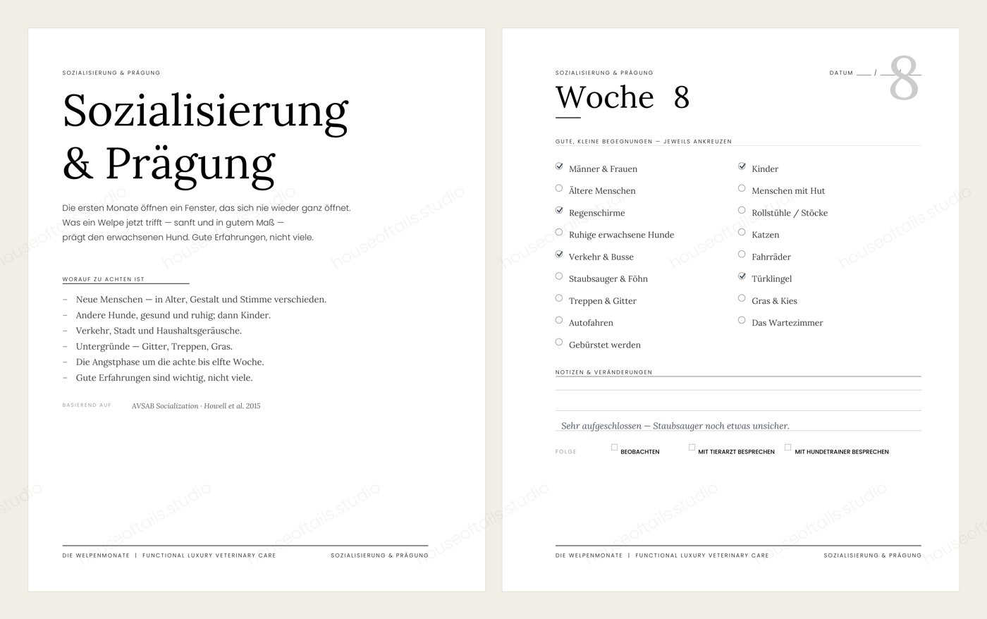 Doppelseite Sozialisierung & Prägung mit tiermedizinischer Erklärung und Wocheneintrag im Welpen-Journal The Curious Puppy