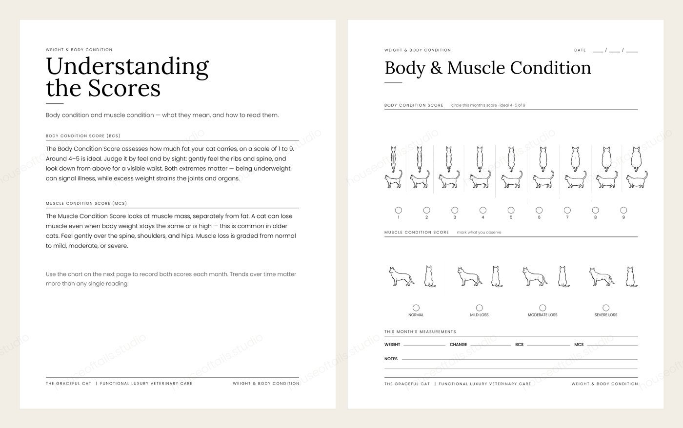 Weight and body condition spread with body condition score and muscle condition score for cats