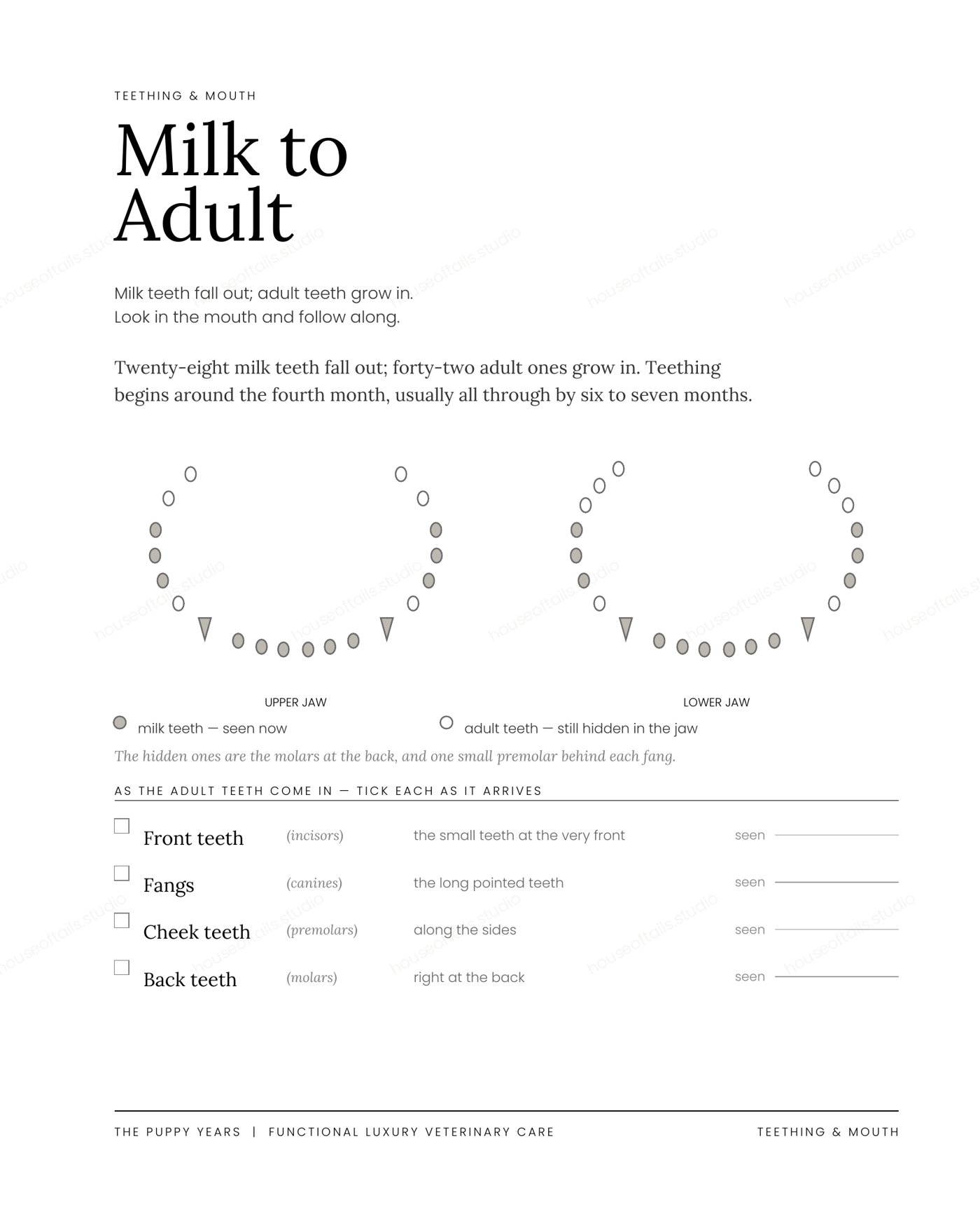 Teething and mouth page with the tooth chart tracking milk teeth turning into adult teeth