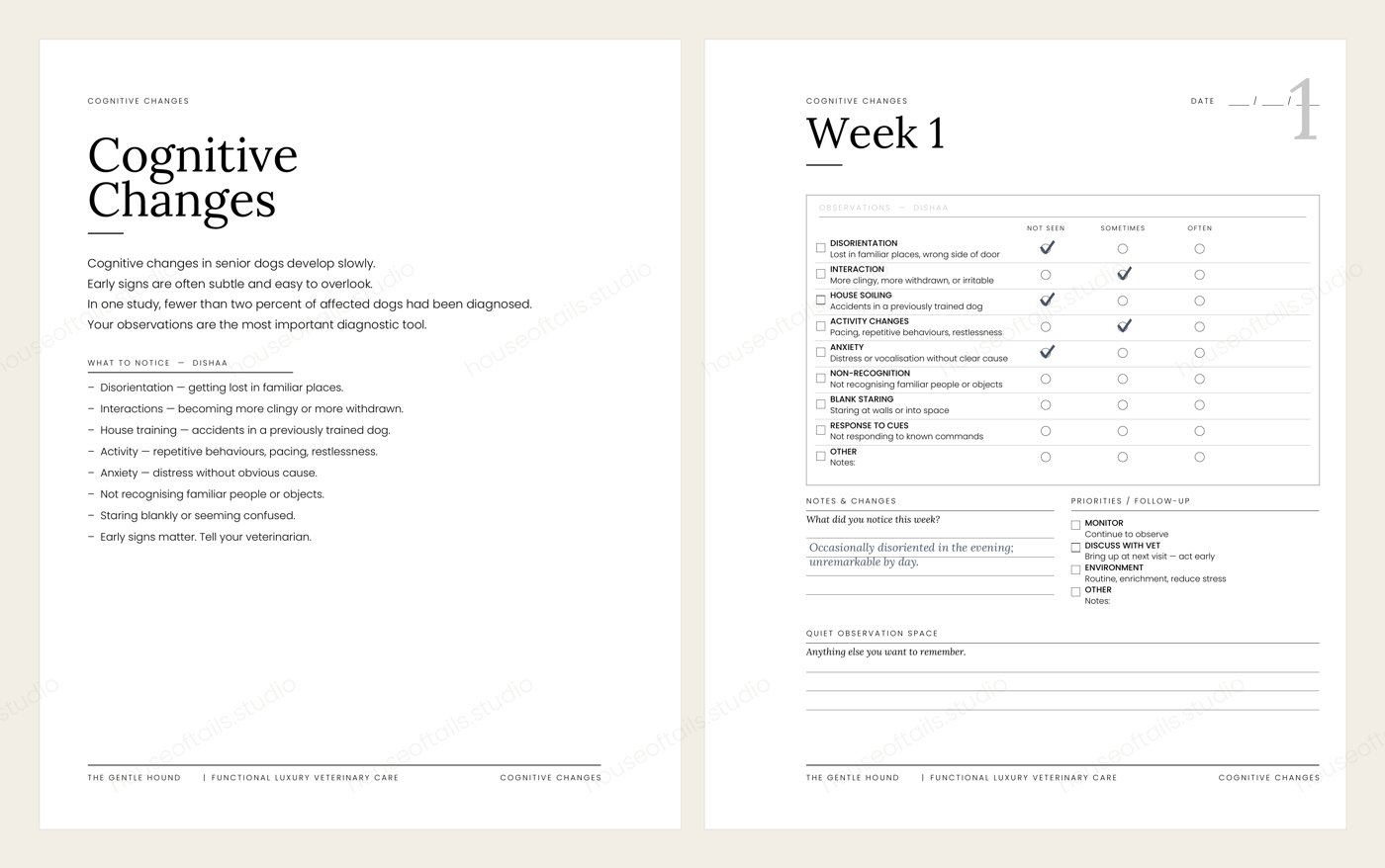 Cognitive changes spread in The Gentle Hound, with the DISHAA observation framework and the weekly entry page