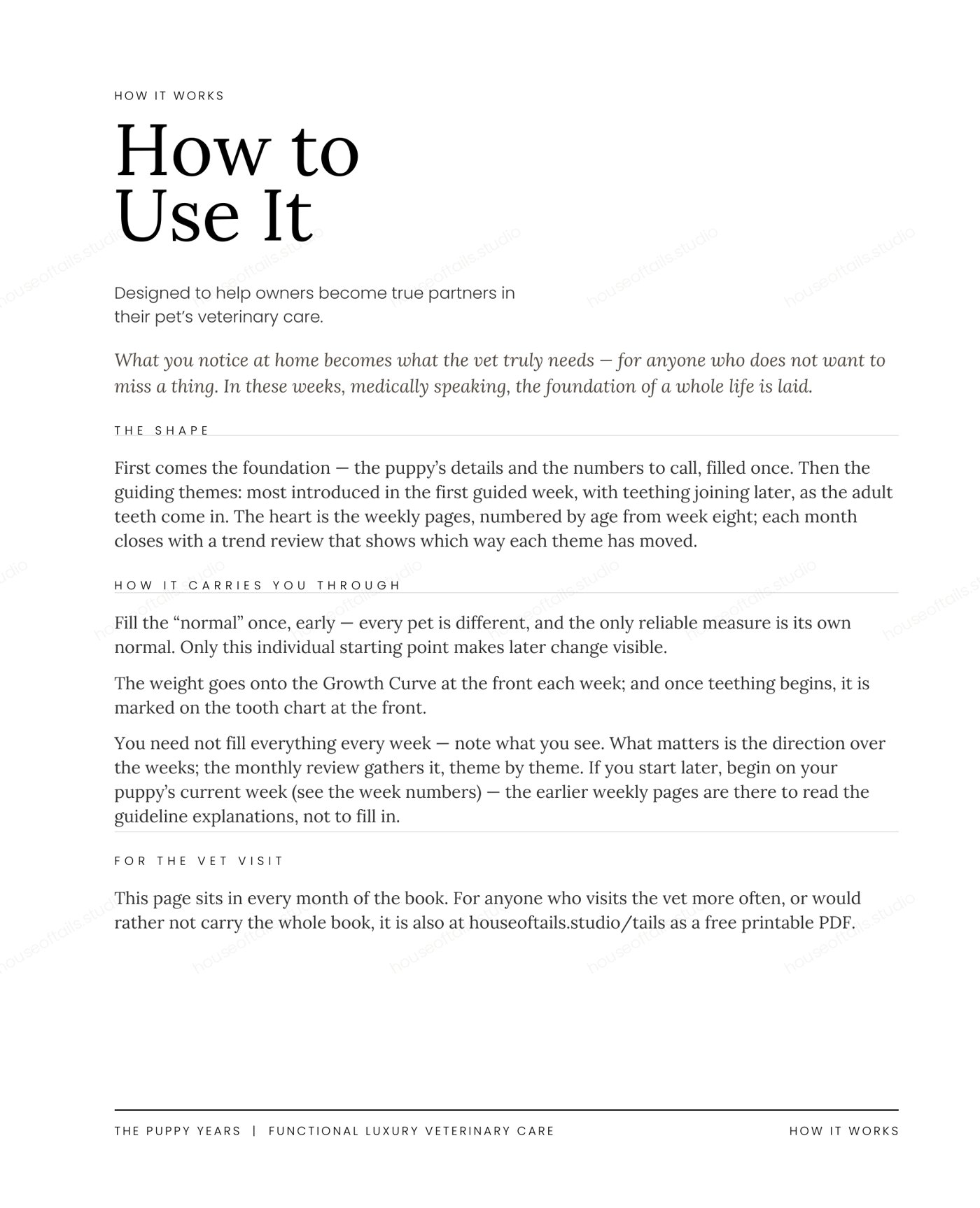 The Curious Puppy — “How to Use It” guide page explaining how the puppy journal is structured